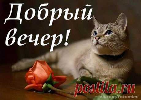 Добрій вечер!!!