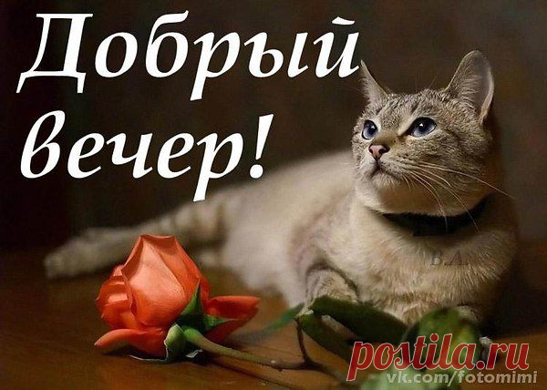 Добрій вечер!!!