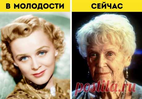 15 фильмов, ради которых их создатели отважились на безумные поступки