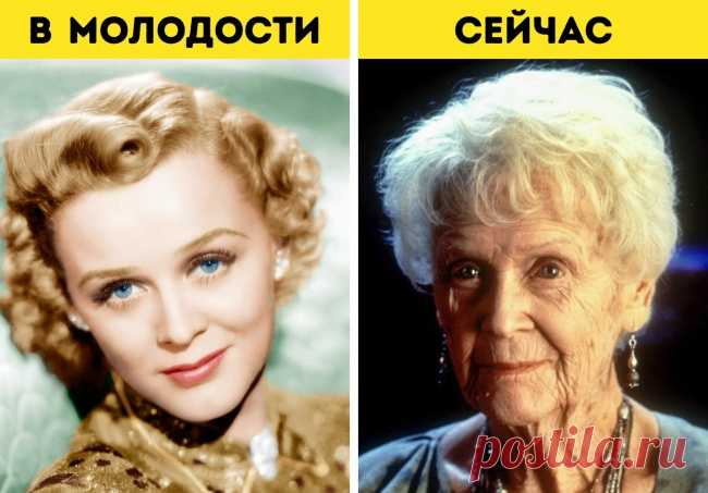 15 фильмов, ради которых их создатели отважились на безумные поступки
