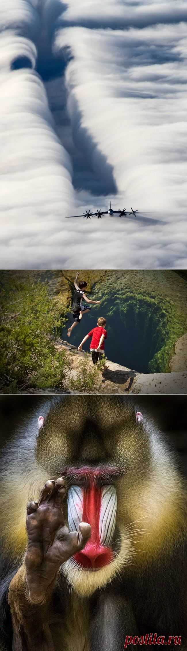 30 фотографий 2013 года, в которые трудно поверить | Prikolisti.com