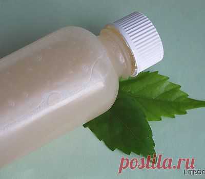 Как сделать освежающий шампунь с ментолом | Статьи и Обзоры | Экспертоза