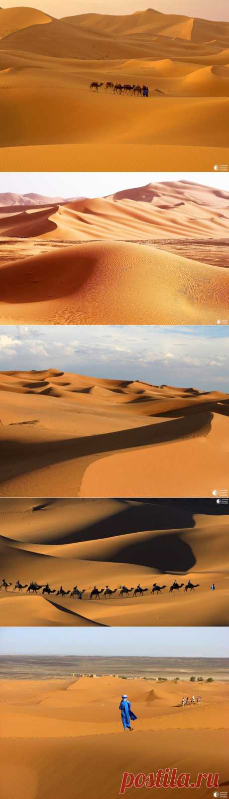 Пустыня Сахара - Путешествуем вместе