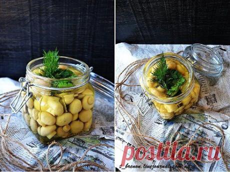 Маринованные шампиньоны.

Грибы сами по себе продукт абсолютно диетический. Удобнее и красивее, если сами грибы брать мелкие. Очень вкусное дополнение к относительно пресным блюдам – паровому омлету, пюре из цветной капусты, тефтелям на пару и т.д.

Время приготовления: 10 мин.
Порций: по желанию

Вам потребуется:

Грибы шампиньоны 250 гр
Уксус яблочный 5%