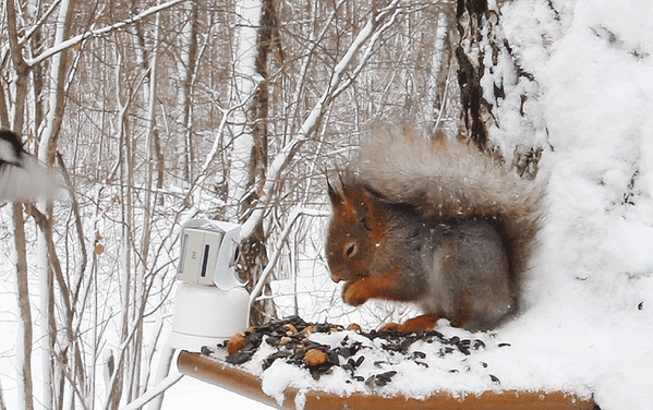 Мой Мир@Mail.Ru