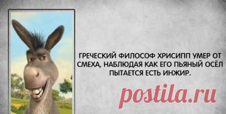Мои закладки