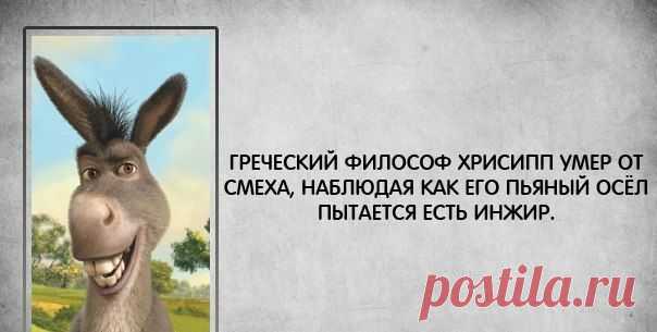 Мои закладки