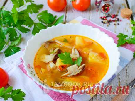 Щи — подборка рецептов с фото и видео