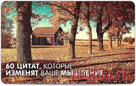 (14) Одноклассники