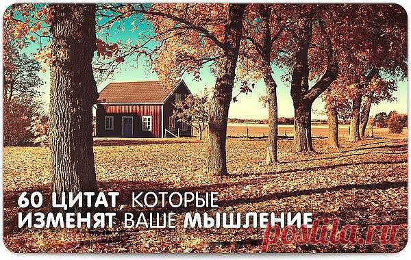 (14) Одноклассники