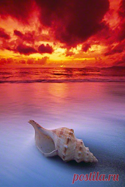Sunrise, Cairns, Queensland, Australia. Photo: ... | Amazing Mother N…