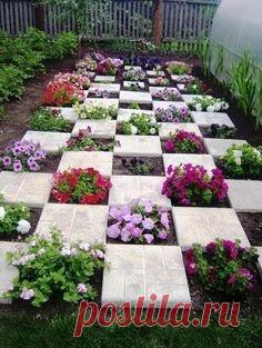 15 Striking Petunia Centerpiece Ideas for Garden Design and Yard Landscaping 15 Striking Petunia Centerpiece Ideas for Garden Design and Yard Landscaping   15 Striking Petunia Centerpiece Ideas for Garden Design and Y...