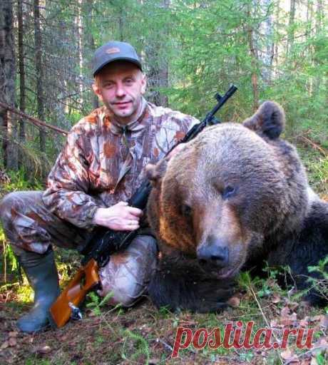 Охота на медведя в Карелии | Весенняя и осенняя охота на бурых медведей