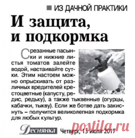 Защита и подкормка из ботвы томатов