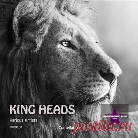 Amesens, Aminohaus - King Heads