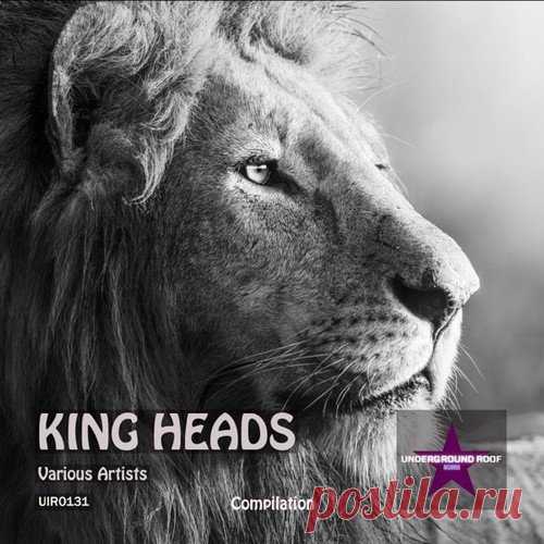 Amesens, Aminohaus - King Heads