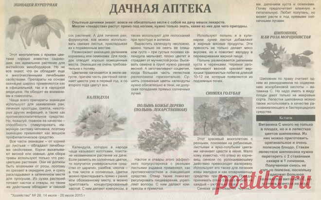 Дачная аптека