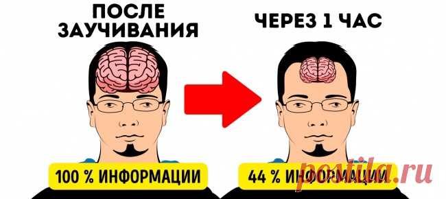 12 секретов памяти, чтобы запоминать иностранные слова с первого раза Мы учим английский язык всю жизнь, знаем правила, но все равно не можем грамотно ответить иностранцу и без мук посмотреть сериал в оригинале. Почему так?
Давайте разберемся в этой несправедливости и в…