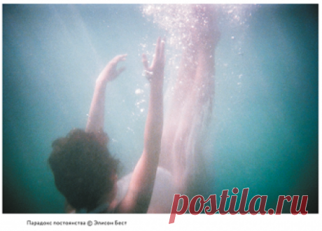 Дзен-фотография: почему в фотографии и жизни важно «поймать момент»