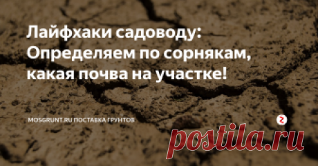 Лайфхаки садоводу: Определяем по сорнякам, какая почва на участке! Кислотность почвы - важный агрохимический показатель! По сорнякам можно определить многое, и сделать соответствующие выводы и набросать план работ по раскислению почвы.
На почвах, кислотность которых ниже рН 4,5, обычно появляется зеленый бархатный налет-мох. Это сильнокислые почвы, для их раскисления необходимо по осени под перекопку внести 3-4 стакана извести на каждый квадратный метр.
Для раски