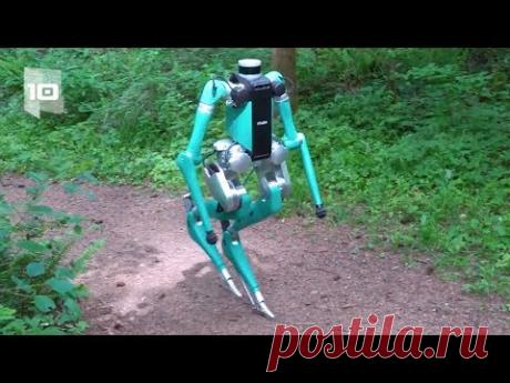 10 Robots de reparto más avanzados del mundo