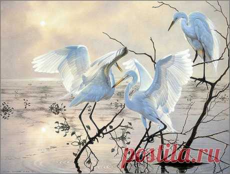 0_141940_c9de948e_XL.jpg (800×605)