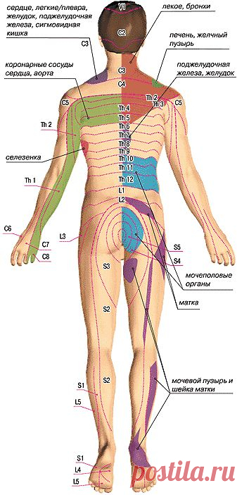 Pin by Наталья Секретарюк on Health