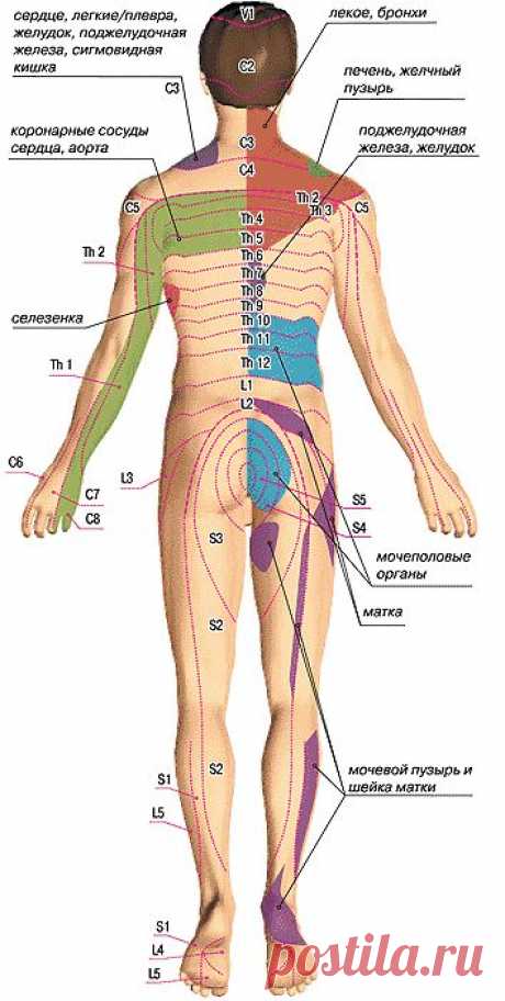 Pin by Наталья Секретарюк on Health