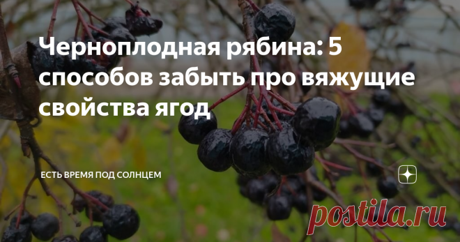 Черноплодная рябина: 5 способов забыть про вяжущие свойства ягод Сегодня на прогулке мне попалась на глаза черноплодная рябина. Она уже без листьев, ведь на улице-то середина октября. И я подумала: «А почему хозяйка этого участка не стала убирать ягоды рябины? Почему оставила их пропадать на осеннем дожде?». Думаю, что причина низкой популярности этих ягод — это то, что черноплодная рябина имеет вяжущие свойства. Поэтому многие садоводы и огородники стали мало сажать этот ...