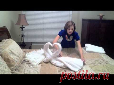 Cisnes de toalha - YouTube