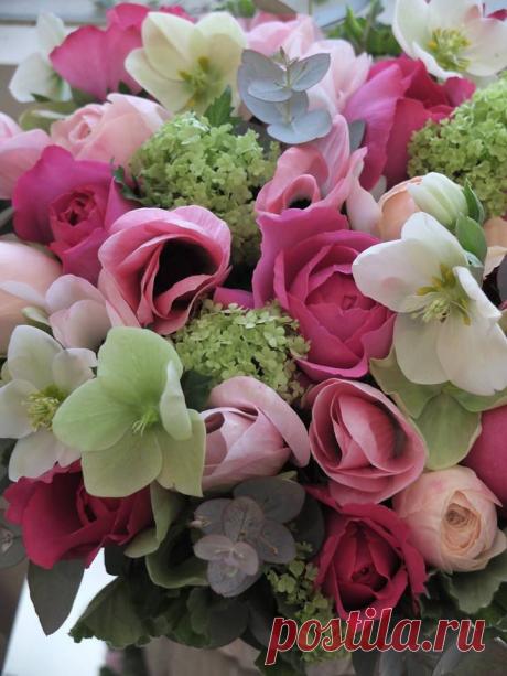 флористика