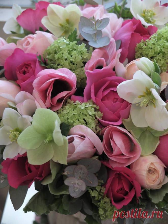 флористика