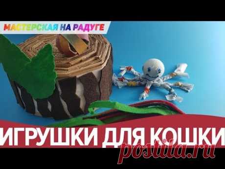 Игрушки для кошки, или как порадовать питомца
