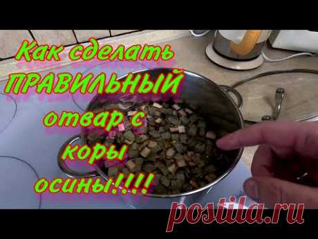 Как сделать ПРАВИЛЬНЫЙ отвар с КОРЫ ОСИНЫ!!!!