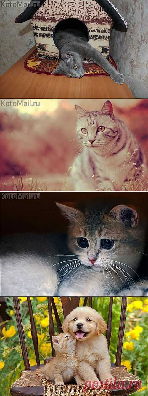 Простые упражнения чтобы убрать бока. 1.... и другие материалы. Новое в Вашей подборке на Постиле - klievtsova@inbox.ru - Почта Mail.Ru