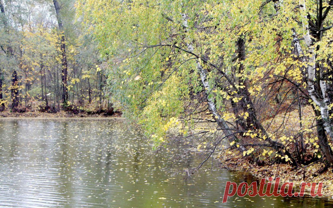 Галина Крыжановская
63 года, Россия, Чехов