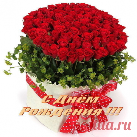 123392005_den_rozhd_shik.jpg (600×600)