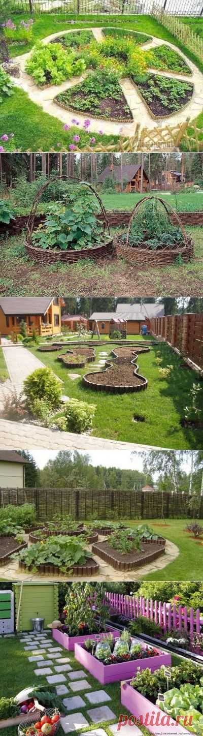 Нескучные грядки