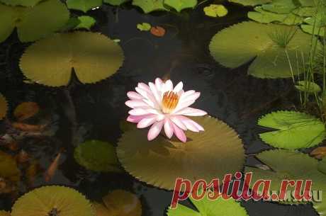 29 Пальм - Клуб путешествий Павла Аксенова > Карибы – 2013