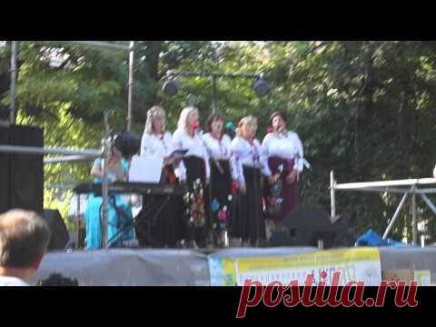 "Укроп" — Яндекс.Видео