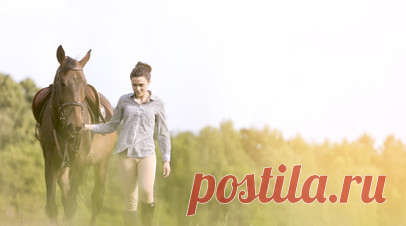 Два туристических инвестпроекта реализуют в селе под Тюменью. Особо охраняемую территорию рекреационного назначения планируют создать вблизи села Кулаково под Тюменью. Там реализуют два инвестпроекта — современный конноспортивный комплекс и термальный парк. Читать далее