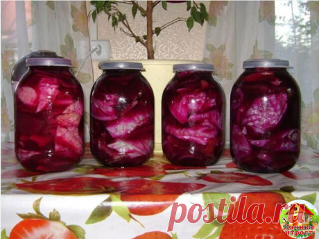 Острая солёная капуста «по-армянски»  
Нам понадобится 
5 кг капусты 
0,5 кг свеклы 
1 острый перец 
1 небольшой корень хрена 

Для рассола на 1,2 литр воды: 
1 ст.л. соли 
1 лавровый лист 
5 горошин перца черного

Капусту очистить от верхних листьев, нарезать кочан в зависимости от размера на 6-8 частей. Свеклу очистить, помыть, нарезать тонкими кружками. Острый перец помыть. Корень хрена почистить. Нарезать крупными кусками. Приготовить рассол: воду, соль и специи довест...