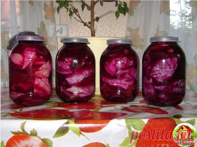 Острая солёная капуста «по-армянски»  
Нам понадобится 
5 кг капусты 
0,5 кг свеклы 
1 острый перец 
1 небольшой корень хрена 

Для рассола на 1,2 литр воды: 
1 ст.л. соли 
1 лавровый лист 
5 горошин перца черного

Капусту очистить от верхних листьев, нарезать кочан в зависимости от размера на 6-8 частей. Свеклу очистить, помыть, нарезать тонкими кружками. Острый перец помыть. Корень хрена почистить. Нарезать крупными кусками. Приготовить рассол: воду, соль и специи довест...