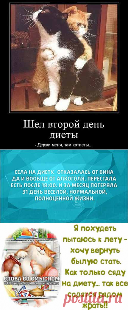 Анекдоты про диету