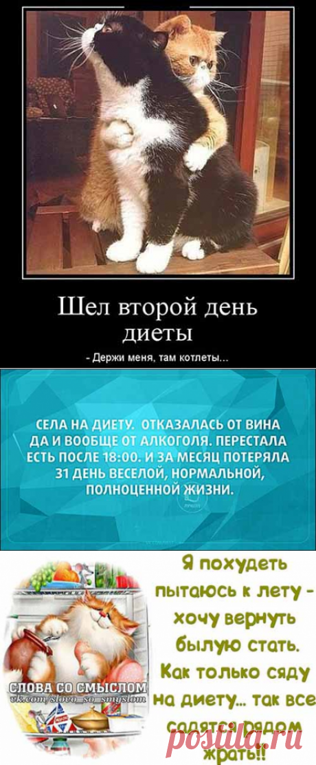 Анекдоты про диету
