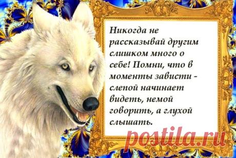 Если в доме радость, радуйтесь потише. Рядом ходит зависть, может и услышать!