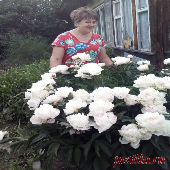 Photo by @elenabiysk1 on June 03, 2020.