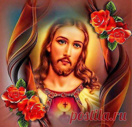 (55) Одноклассники