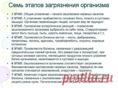 Блог сайта «Будь в форме!»