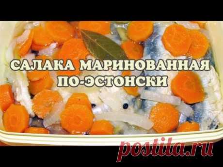 Рыба (салака) маринованная  по-эстонски. Маринованная рыба рецепт.